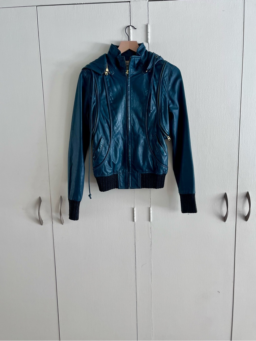 Mike & Chris Leather Hoodie